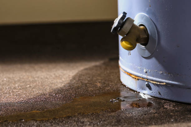Best 24/7 water damage repair  in Granby, MO
