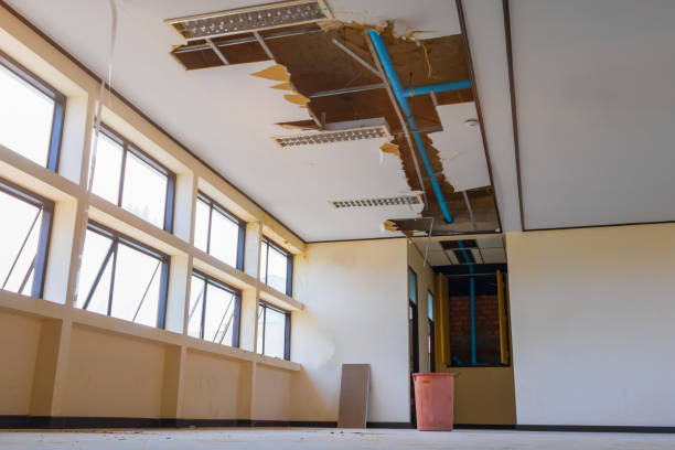Best Water damage restoration near me  in Granby, MO