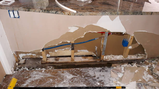Best Fire Damage Restoration  in Granby, MO