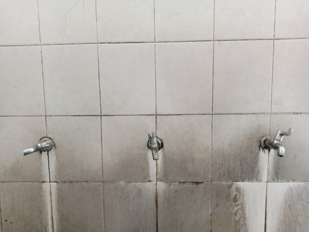 Best 24-hour water damage restoration  in Granby, MO