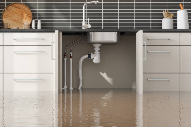 Best Flood restoration services  in Granby, MO