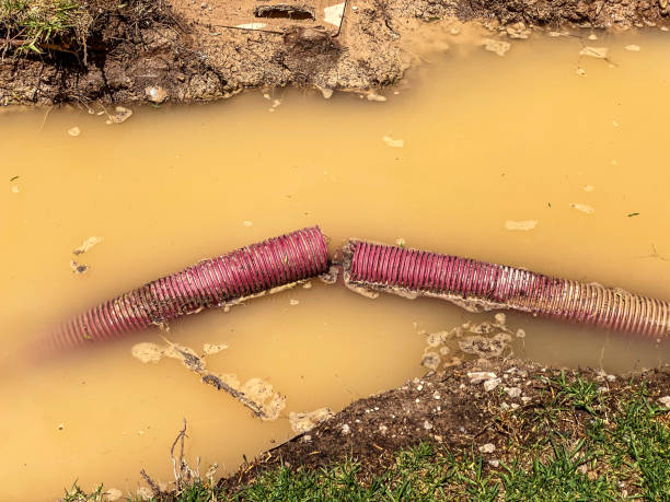 Best Water damage restoration specialists  in Granby, MO