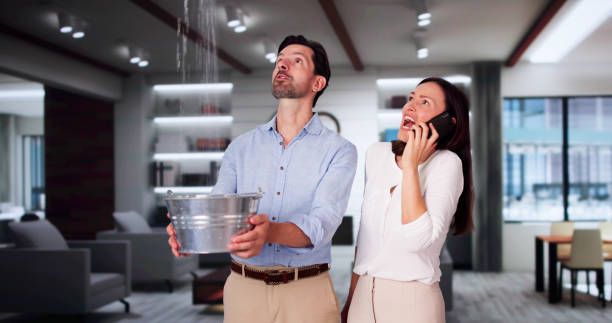 Best Carpet water damage restoration  in Granby, MO