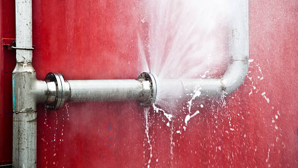 Best Water damage contractors near me  in Granby, MO